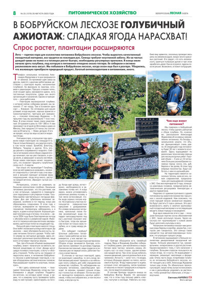 В Бобруйском лесхозе Голубичный  ажиотаж: сладкая ягода нарасхват!