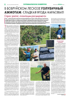 В Бобруйском лесхозе Голубичный  ажиотаж: сладкая ягода нарасхват!